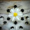 Vintage Celluloid Hand Painted Daisy Pendants / Drops In Jet Swarovski - 30mm - 1 Piece