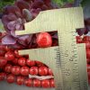 Vintage Miriam Haskell Cherry Brand Occupied Japanese Baroque Opaque Red and Black Swirl Glass Beads Japan - 8mm - 1 Strand - Image 2